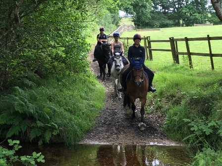 Family Riding in New Forest